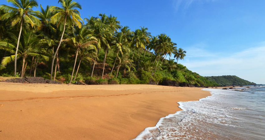 goa tour packages