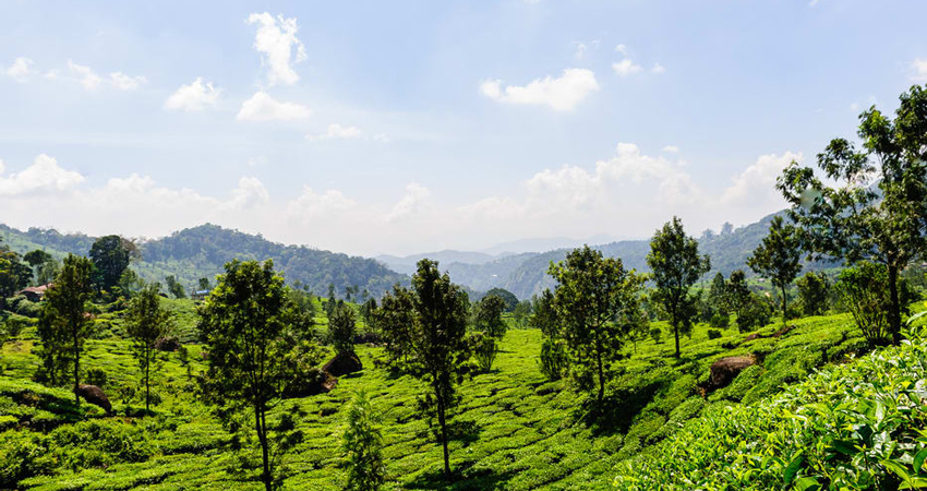 kerala